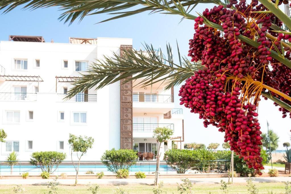 Private Beach Resort Cyprus Vokolidha Exteriör bild